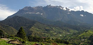 MtKinabalu view from kundasan.jpg