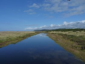 Pacific Beach State Park.jpg