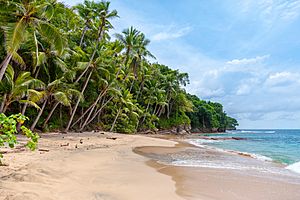 Playa Blanca, Saboga, Panama (Unsplash)