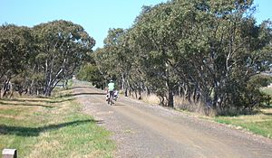 RailTrailLeopoldVictoria