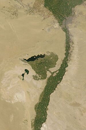 Satellite image of the Faiyum Oasis.jpg