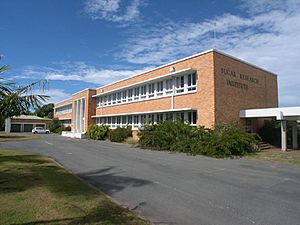 Sugar Research Institute, 2007.jpg