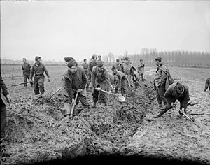 The British Army in France 1940 F2845