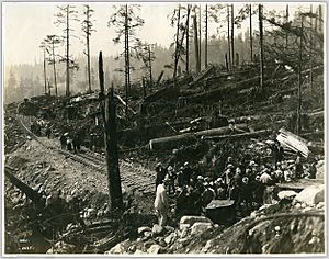 Tour of logging area (13063424535)