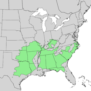 Viburnum rufidulum range map 2.png