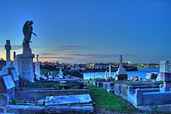 WaverleyCemetery.jpg