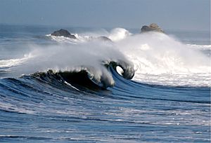 Waves in pacifica 1