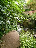 Wom Brook at Pool Dam