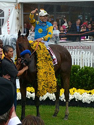 American Pharoah