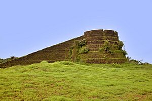 Arikady fort