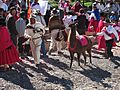 Aymara ceremony copacabana 4