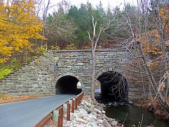 A wooded hillside with two stone tunnels. The one on the left carries a road; a stream flows through the one on the right at a lower level than the road.