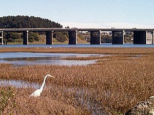 Bothin Marsh in Marin County California