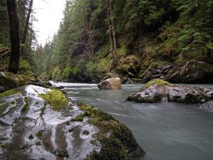 Boulder River drizzle.jpg