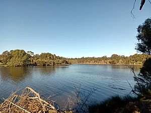 Bull Creek in the afternoon