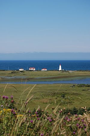 Cape Anguille Lighthouse.jpg