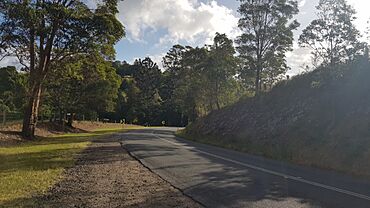 Clothiers Creek Road 2023.jpg