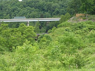 Dam Site Abutments P6220313