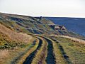 Disused railway line - geograph.org.uk - 896322