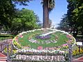 Flower clock