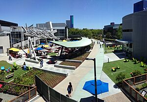 Googleplex central courtyard