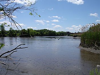 HackensackRiver.jpg