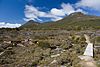 Hartz Mountain and Mt Snowy.jpg