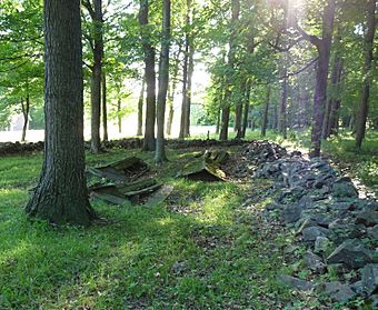 Indian Bill Cemetery.jpg