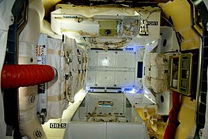 Inside the Dragon (capsule)