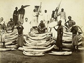 Ivory 1880s