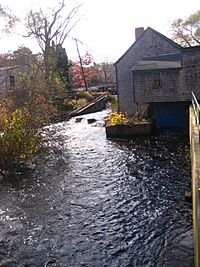 Jones River fish ladder.JPG