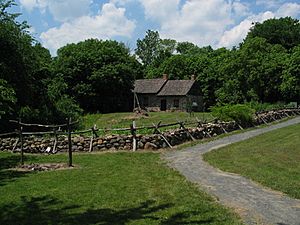 Landscape at Richmondtown neighborhood