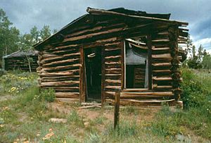 Miners delight cabin