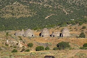 Modern frisco charcoal kilns