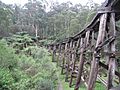 Monbulk Creek Trestle Bridge