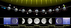 Moon phases en