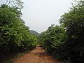 Mudway at Kambalakonda Ecopark Visakhapatnam