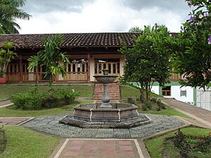 Museo del Café