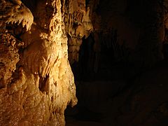 NaturalBridgeCaverns14