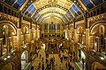 Natural History Museum - London