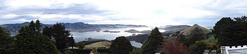 Otago Harbour panorama