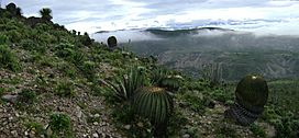 Paisaje en Texcala, Puebla, México.JPG