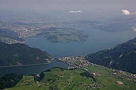 Picswiss NW-25-20.jpg