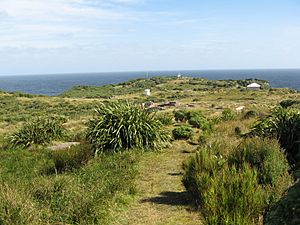 Puysegur Point New Zealand