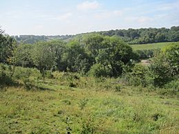 Saltbox Hill view