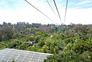 San Diego Zoo 194 2014-08-23