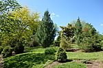 Stanley M. Rowe Arboretum - DSC03399.JPG