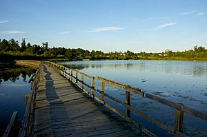 Swan Lake Saanich BC