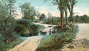 Tom Ham Brook c. 1910