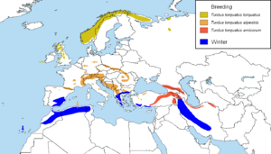 Turdus torquatus distribution map.png